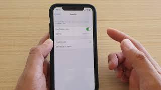 iPhone 11 Pro: How to Enable / Disable Safari AutoFill of Contacts Information