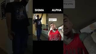 Sigma Male VS Alpha Male