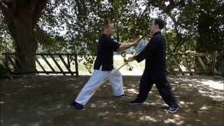 mai gei wong wing chun france