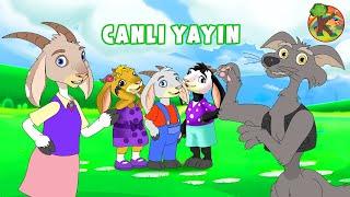 Türkçe - Çizgi Film & Çocuk Masalları - CANLI YAYIN | KONDOSAN