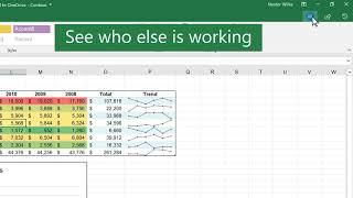 Collaborate on Excel workbooks at the same time with co-authoring