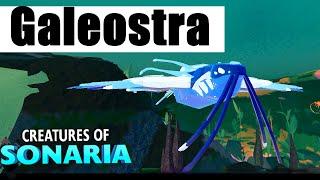 NEW AQUATIC CREATURE! Galeostra SHOWCASE! | Creatures Of Sonaria | whalemistar