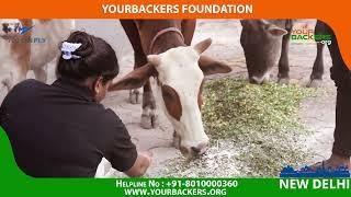 07th Oct 2022 Feed the Stray Animals – An initiative by the Yourbackers New Delhi