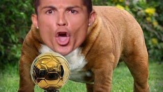 WHO LET THE DOG OUT? - Marca Blanca