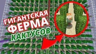 ГИГАНТСКАЯ ферма КАКТУСОВ сколько ДЕНЕГ? ФАНТАЙМ Анархия