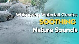 Whispering Waterfall Creates SOOTHING Nature Sounds