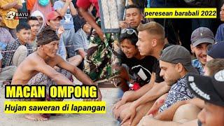 MACAN OMPONG LANGSUNG DISAKSIKN BULE || PERESEAN BARABALI TERBARU 2022