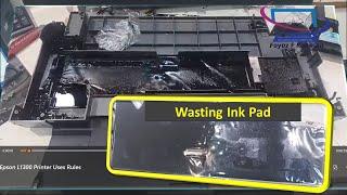 Ink Leakage Problem || How to change & Clean  Epson L1300 Waste Ink Pad || Replace or Reuse ink pad