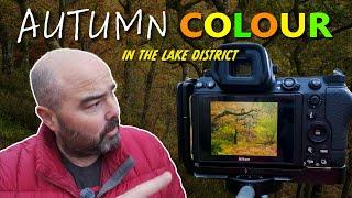 HOW TO Shoot Autumn Colour in FLAT LIGHT