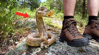 BITE PROOF BOOTS VS VENOMOUS SNAKE BITE!