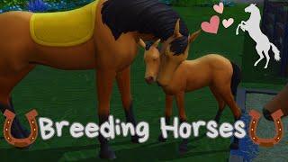 Breeding Horses for 5 Generations | Sims 4 Horse Ranch