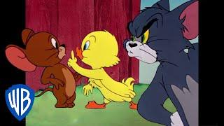 Tom y Jerry en Latino | ¡Pequeño Patito, el más lindo! | WB Kids