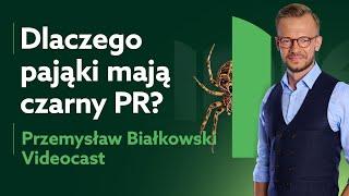 Czy pająki są takie straszne? - Podcast zielona Interia