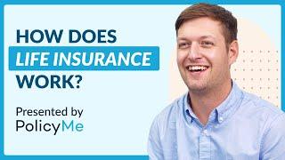 How Does Life Insurance Work?