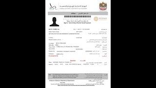 How to get your UAE Visa within 11 minutes only