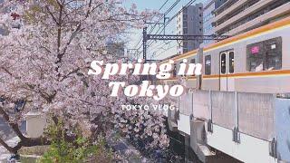 Spring in Tokyo, Cherry blossom viewing, aesthetic cafes, Nakameguro, teleworking |Tokyo Vlog