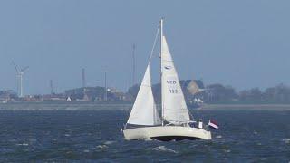 Grinde in actie op het wad