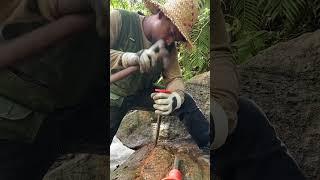 I Found a 10,000 Years Old GOLD VEIN! #rockhounding #gems #gemstones