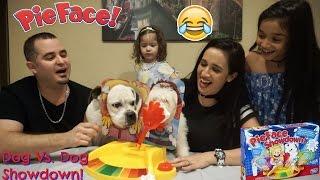 DOGS playing Pie face showdown FAIL new pie game challenge