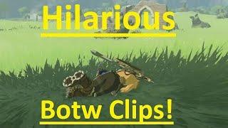 33 Minutes of the Best Botw Clips of All Time!