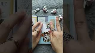 Journal ASMR  Dog spread #shorts #journalasmr #journal