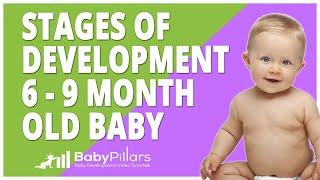 Stages of Development in Babies and Infants 6-9 Month by BabyPillars.