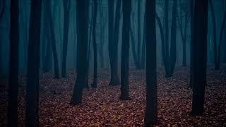 (Free) Horror Ambiance - Ominous Background Music