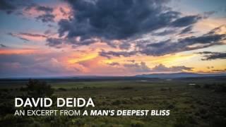 David Deida - an excerpt from A Man's Deepest Bliss