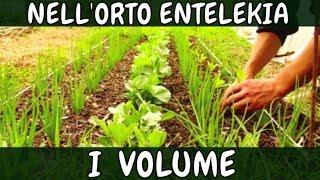 1° Volume INTEGRALE Documentario ORTO Entelekia Alessandro Montelli CAMPOMADRE Agriculture Evolutive