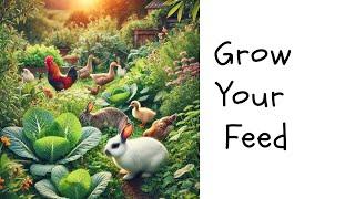 Grow Your Own Food for Rabbits, Ducks & Chickens