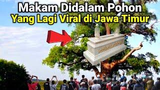 VIRAL..! MAKAM DALAM POHON LAGI VIRAL DI JAWA TIMUR