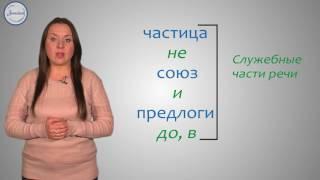 Русский язык 5 класс. Самостоятельные и служебные части речи