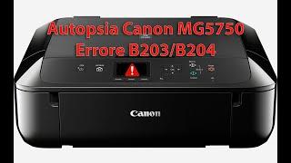 Autopsia di una Canon Pixma MG5750 con Errori B203 e B204