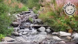 A stream, soothing sound, free mp3 download #18 - Noiser.net