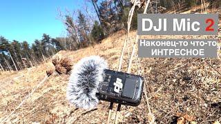 DJI Mic 2 - просто микрофон и ничего лишнего! DJI Mic 2 обзор и сравнение с звука. DJI Mic 2 отзыв