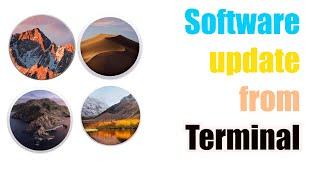 How to Software update macOS using terminal