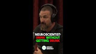 Neuroscientist: Drink Without Getting Drunk | Andrew Huberman #joerogan #shorts