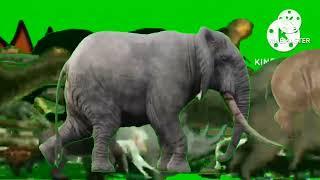 Animal Stampede Upgraded Green Screen