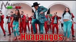 Mix Huapangos-Marco Flores Y La Jerez