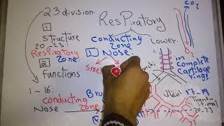 Physiology Respiratory (Structure and Function) new system Dr Mohamed Fayez