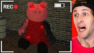 ROBLOX PIGGY HALLUCINATIONS! (NIGHT 1)