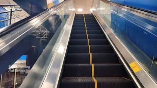 How to use Escalator | Learning To Use the Escalator | How to Ride an Escalator | Johnson Escalator