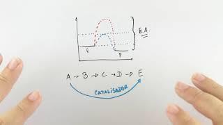 Cinética Química - Catalisadores