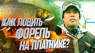 Как ловить форель на платнике? Мастер класс от японского специалиста!