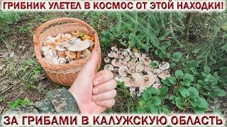  ГРИБНИК УЛЕТЕЛ В КОСМОС от ЭТОЙ НАХОДКИ!ЗА ГРИБАМИ в КАЛУЖСКУЮ ОБЛАСТЬ! Грибы 2024 Август