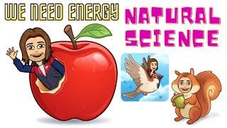 EP2 - Term 1 All about vital functions - Nutrition