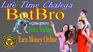 Life Time Chalega BotBro Yorker FX | Forex Trading Earning | TLC Coin Real Or Fake | Review In Hindi