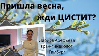 Скажи циститу НЕТ! Рекомендации немецкой медицины.