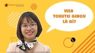 [HỎI ĐÁP TOKUTEI] Visa Tokutei Ginou là gì? - Cơ bản về visa kỹ năng đặc định