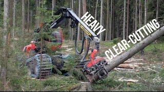 Komatsu 951 with C144 Heavy Clear-Cutting (4k)